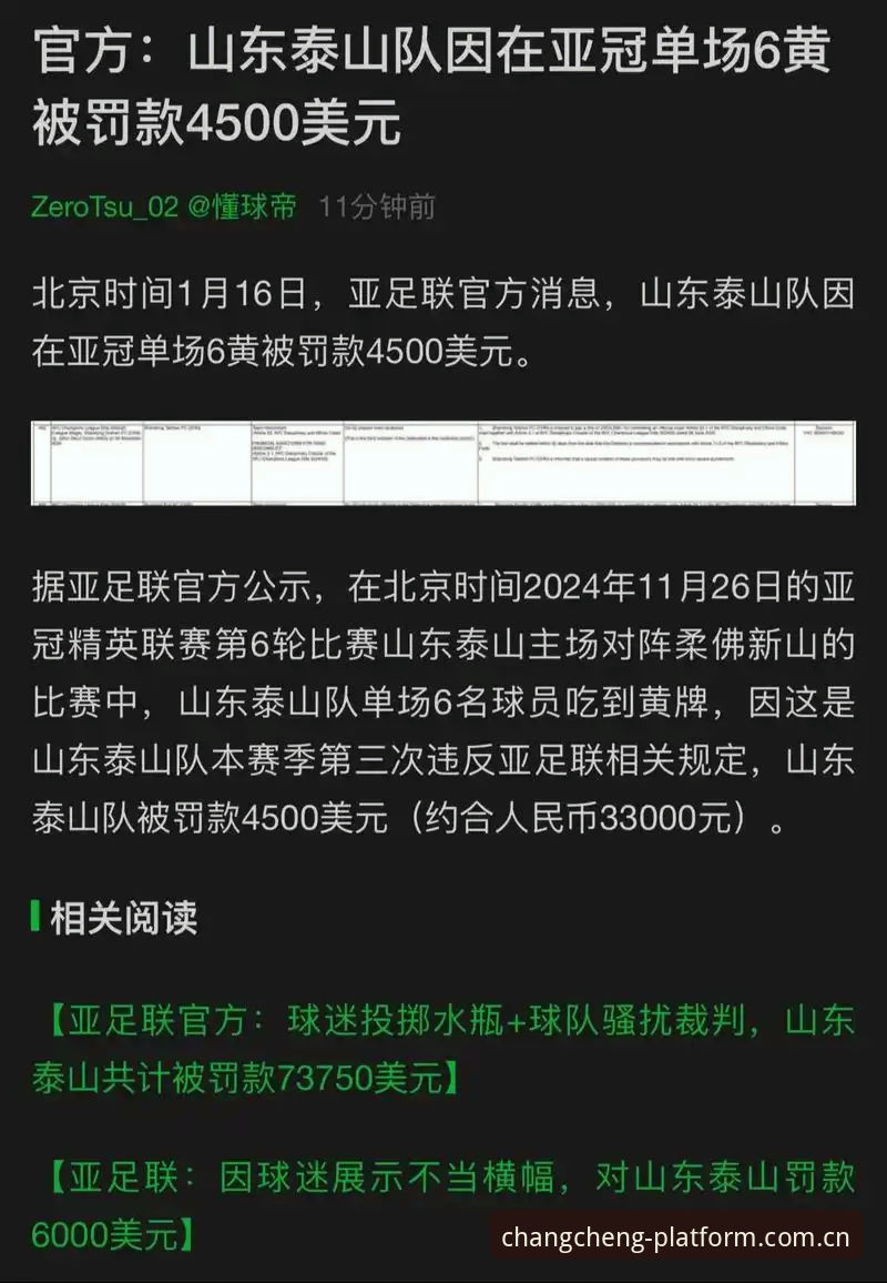 中国足协第三批禁足名单详解：65人受罚，足球反腐再掀波澜