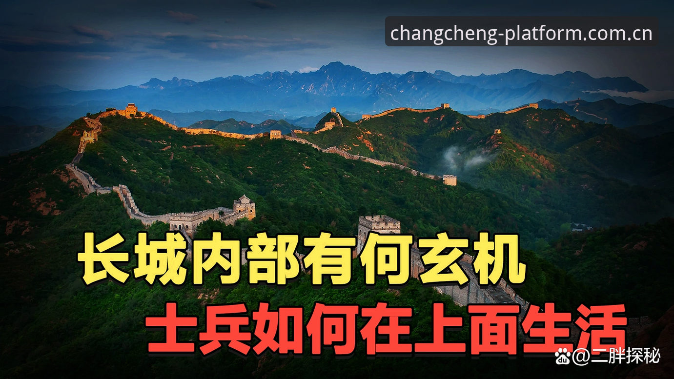 揭秘长城体育官网入口背后的选择逻辑：v2.0.5版本与下载数据背后的行业信号